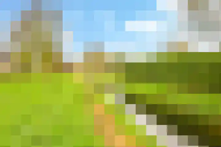 Venkelveld 44 Doetinchem thumbnail 61