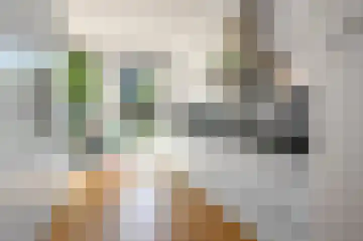 Venlokas 9 De Lier thumbnail 10