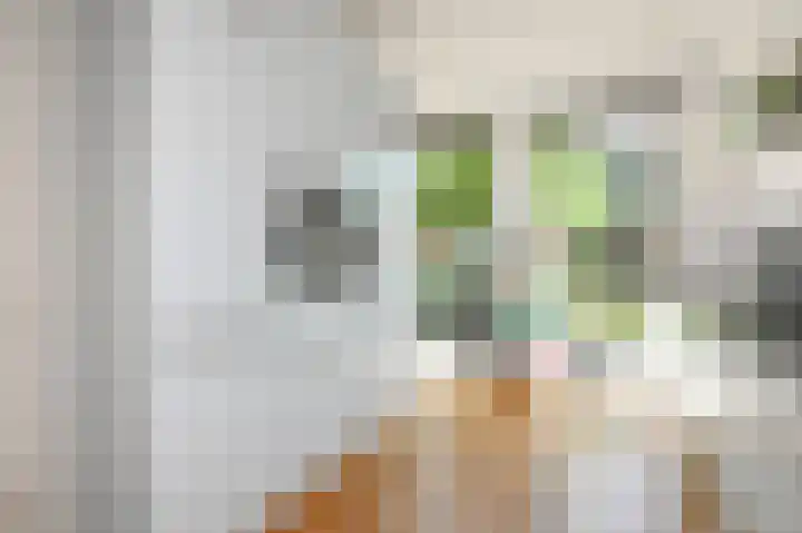 Venlokas 9 De Lier thumbnail 11