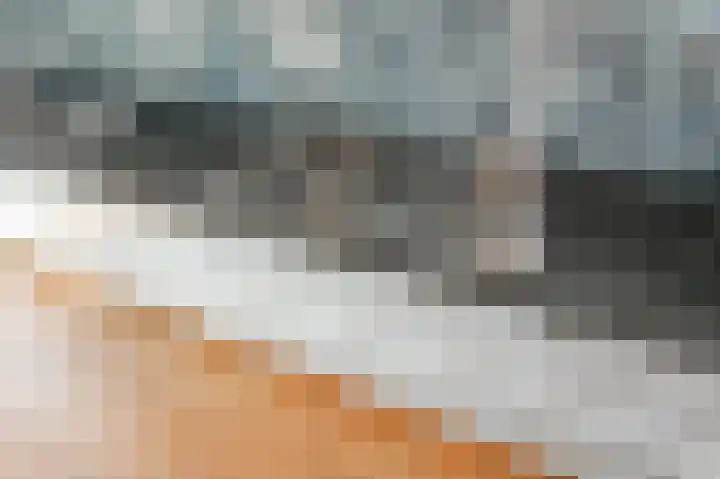 Venlokas 9 De Lier thumbnail 12