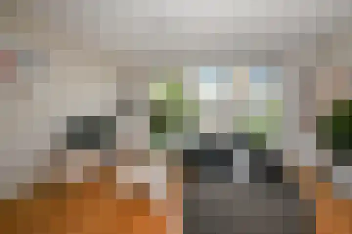 Venlokas 9 De Lier thumbnail 15