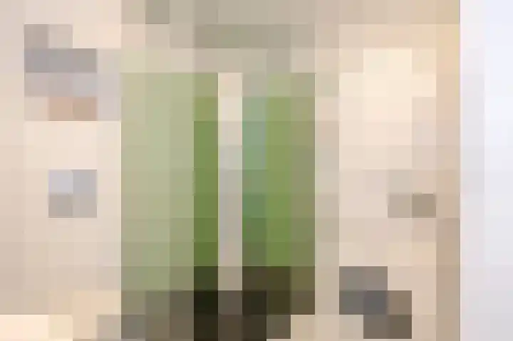 Venlokas 9 De Lier thumbnail 27