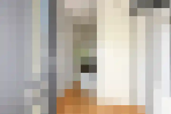 Venlokas 9 De Lier thumbnail 7