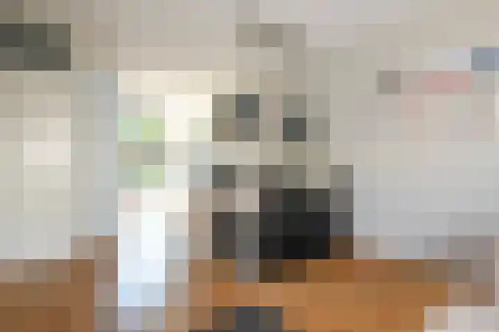 Venlokas 9 De Lier thumbnail 9
