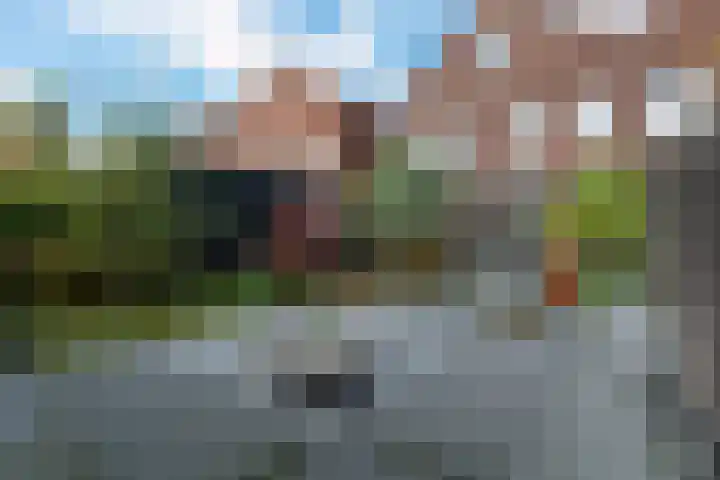 Venlokas 9 Delft thumbnail 19