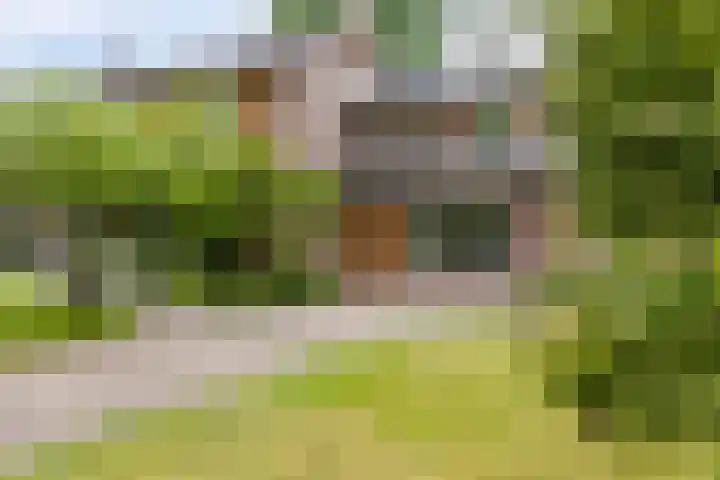 Venloonstraat 17 Loon op Zand thumbnail 5