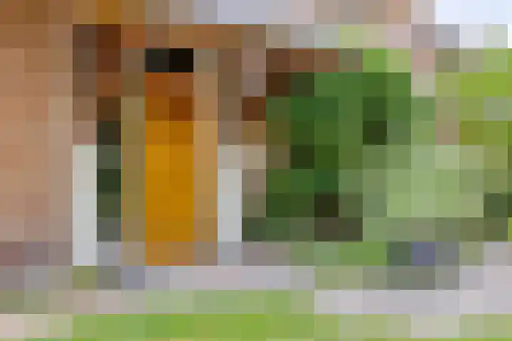 Venloonstraat 17 Loon op Zand thumbnail 6