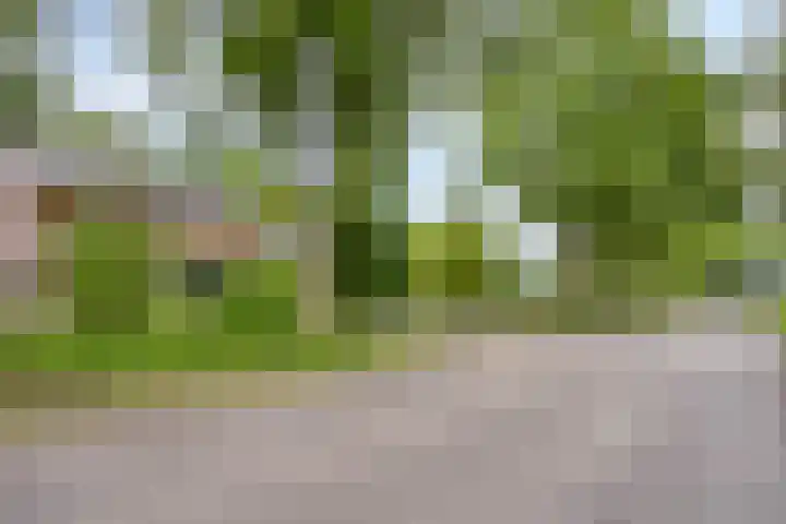 Venloonstraat 17 Loon op Zand thumbnail 62