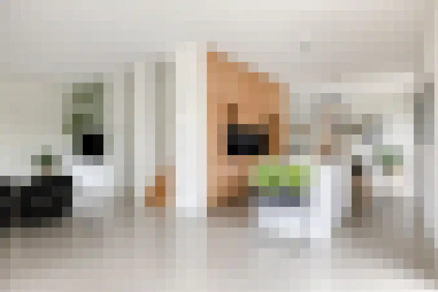 Venloonstraat 25 Loon op Zand thumbnail 20
