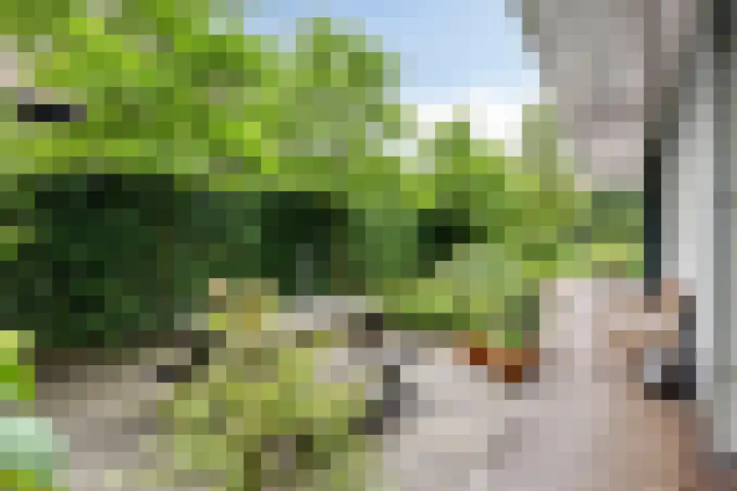Venloonstraat 25 Loon op Zand thumbnail 61