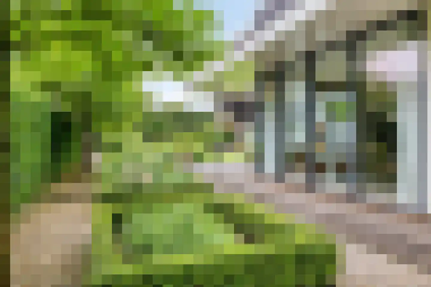 Venloonstraat 25 Loon op Zand thumbnail 62
