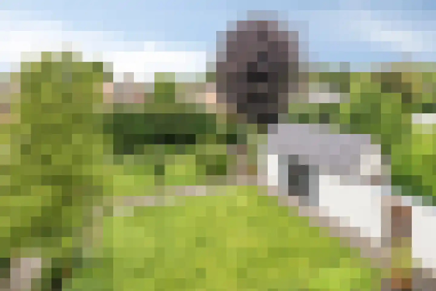 Venloonstraat 25 Loon op Zand thumbnail 67