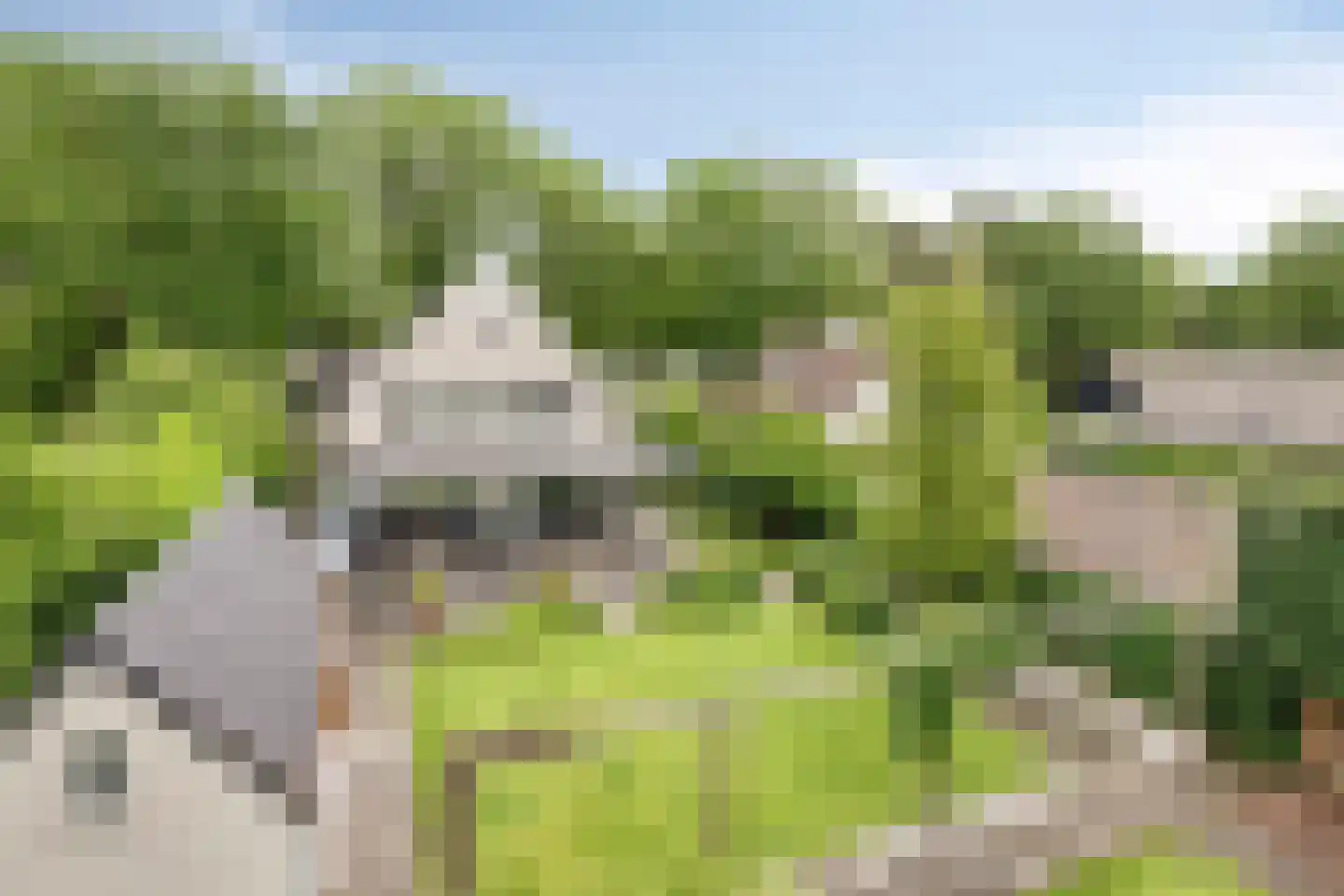 Venloonstraat 25 Loon op Zand thumbnail 70