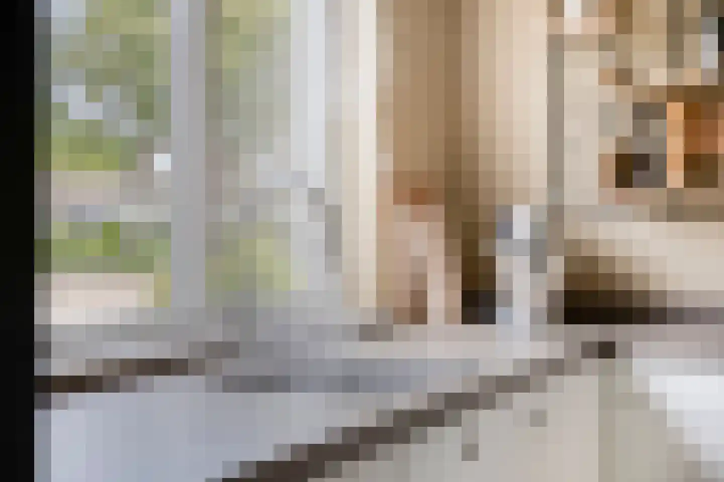 Venloonstraat 9 Loon op Zand thumbnail 27