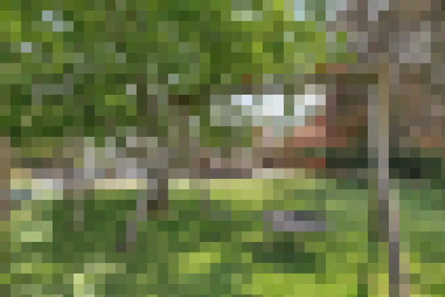 Venloonstraat 9 Loon op Zand thumbnail 53