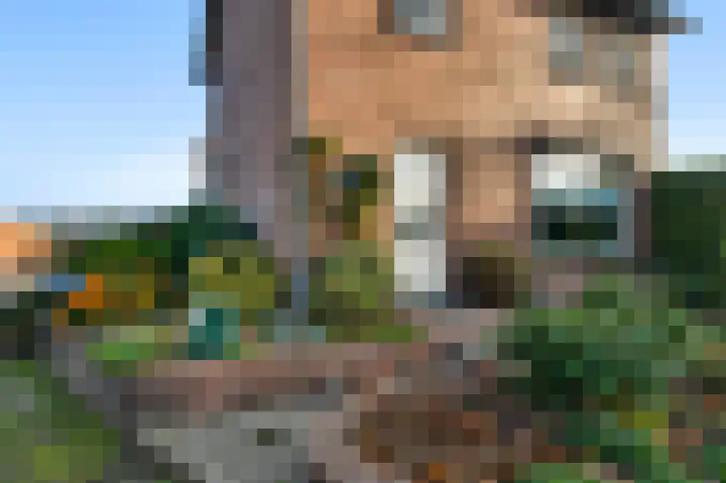 Venloseweg 111 Horst thumbnail 13