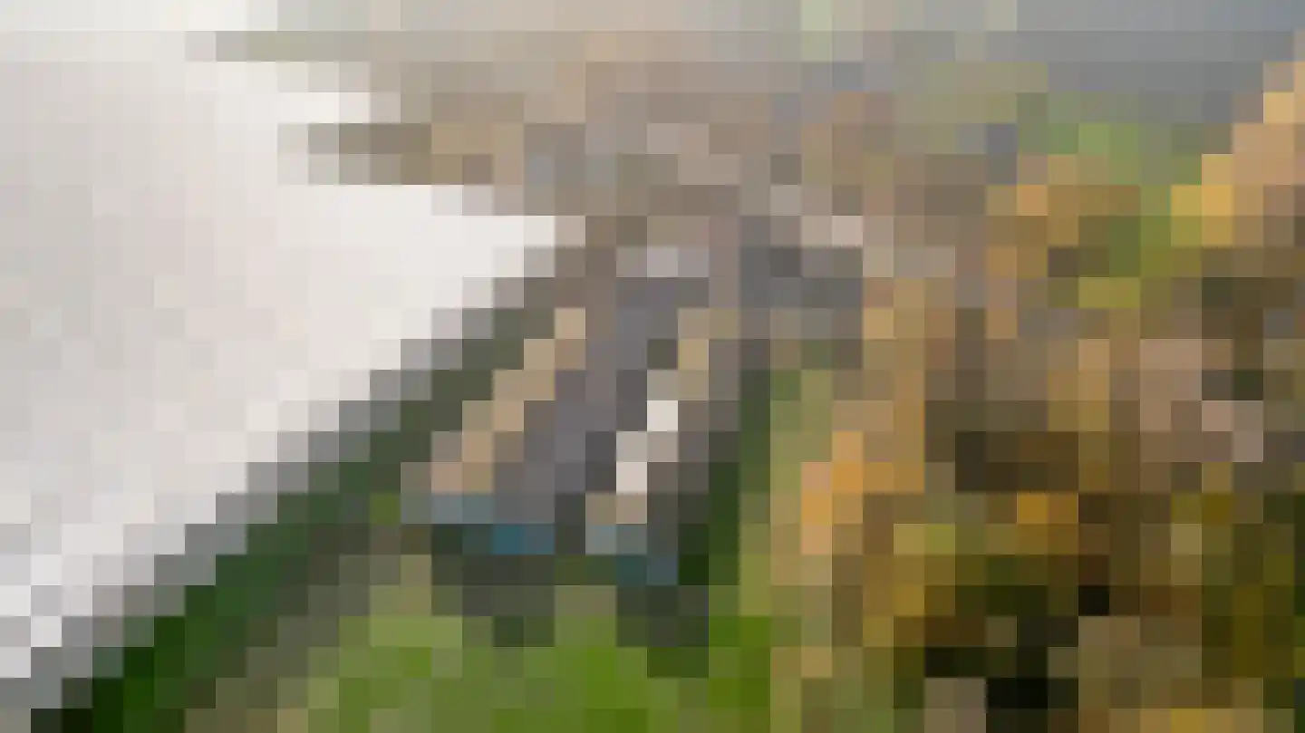 Venloseweg 111 Horst thumbnail 8