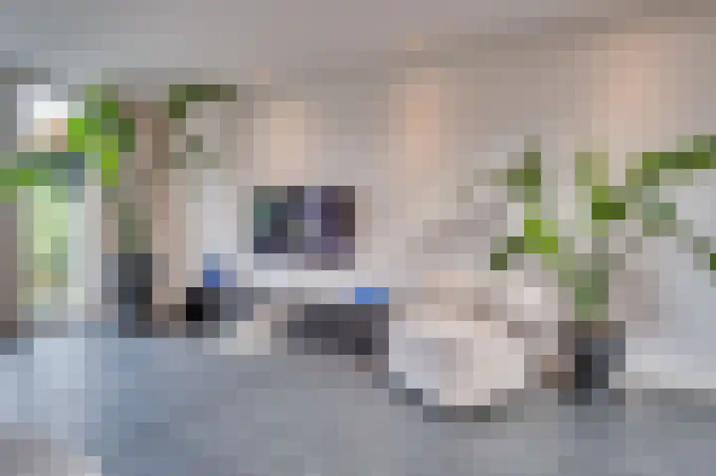 Venloseweg 15 Grubbenvorst thumbnail 10