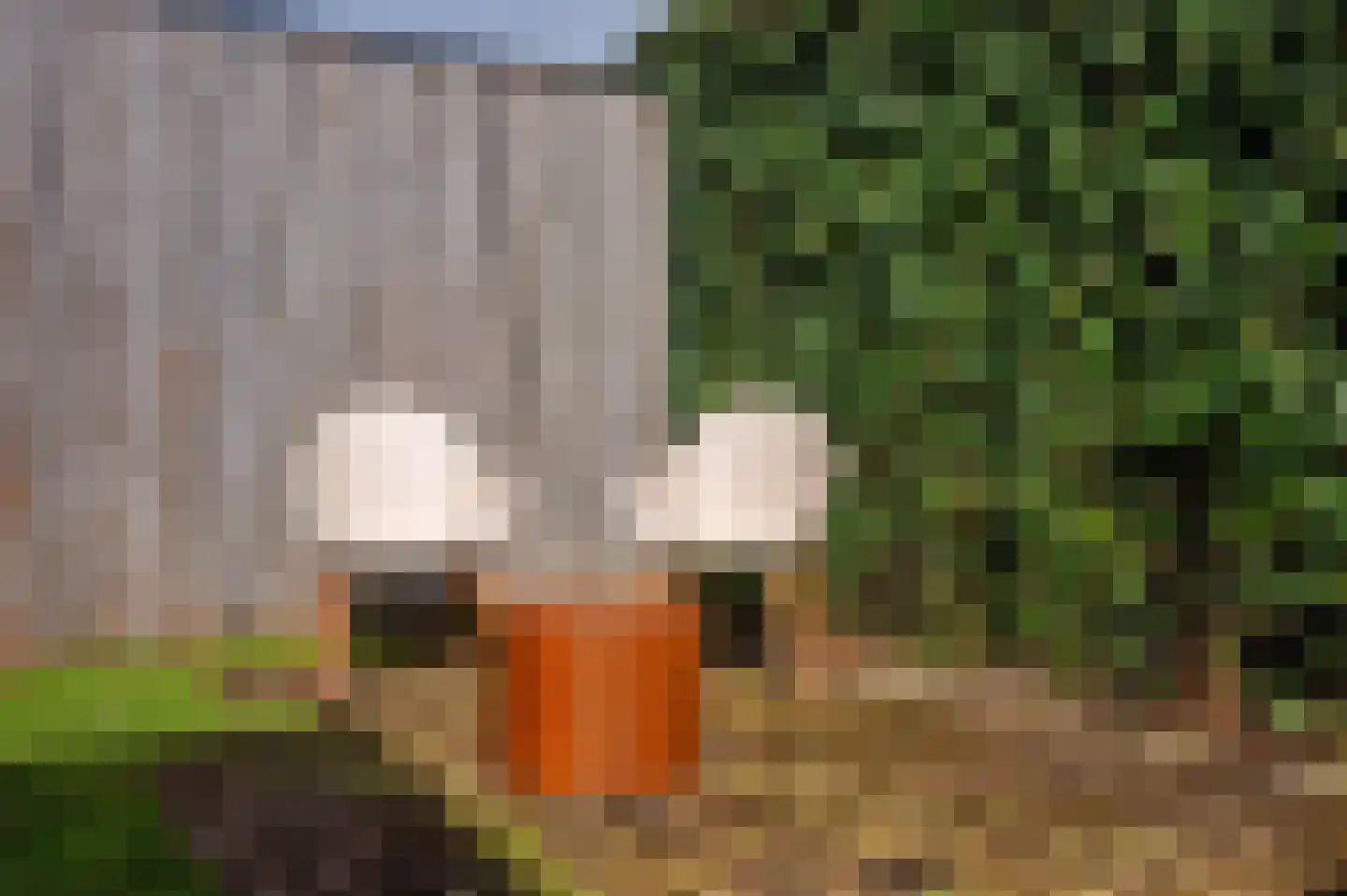 Venloseweg 15 Grubbenvorst thumbnail 34