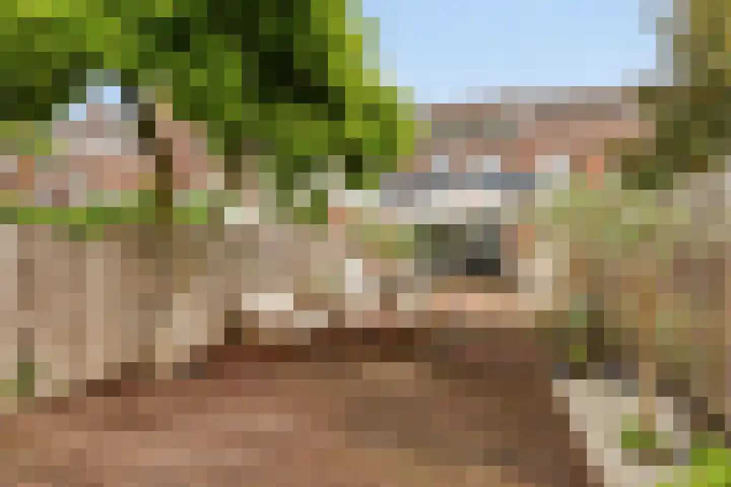 Venloseweg 19 Roermond thumbnail 38