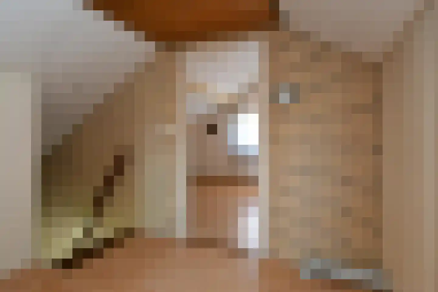 Venloseweg 20 Maasbree thumbnail 11