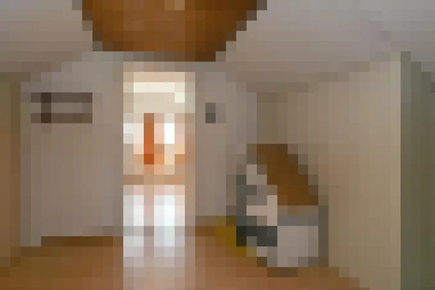 Venloseweg 20 Maasbree thumbnail 12
