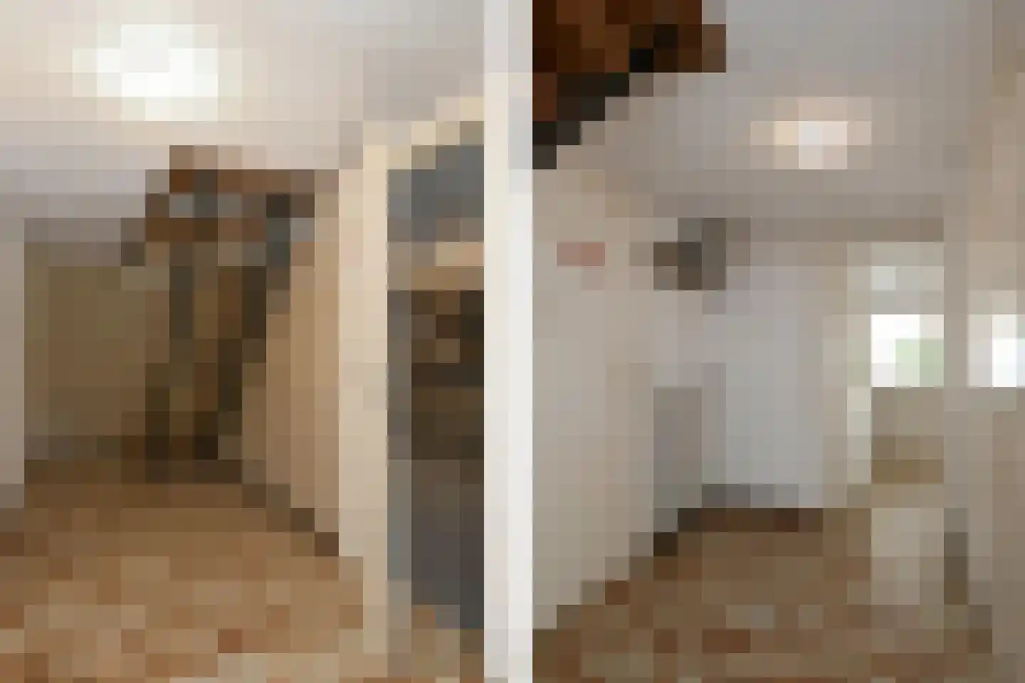 Venloseweg 20 Maasbree thumbnail 15