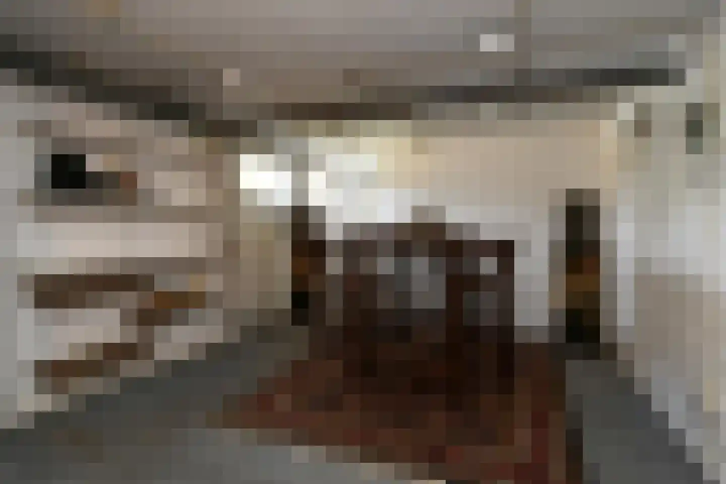 Venloseweg 20 Maasbree thumbnail 17