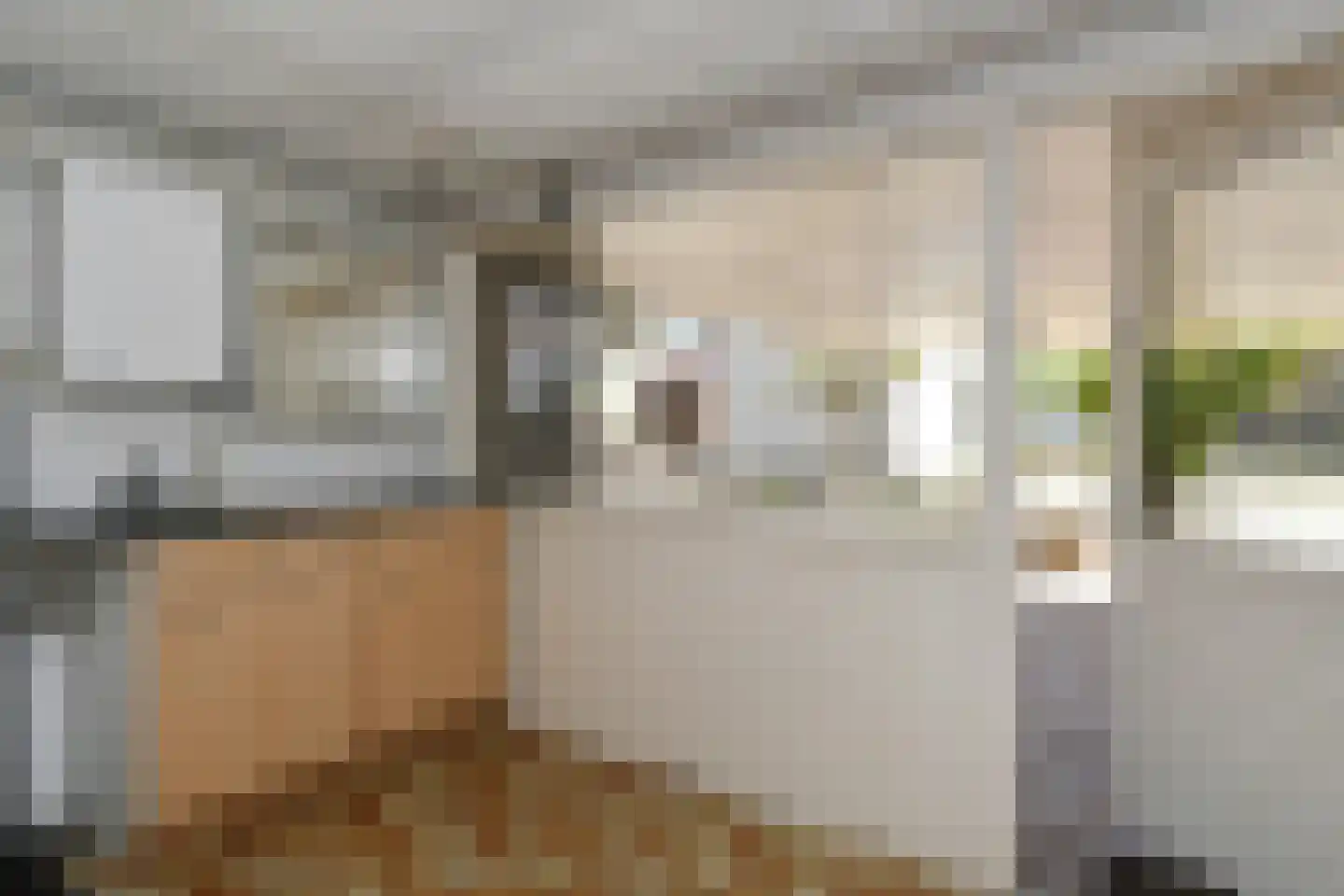 Venloseweg 20 Maasbree thumbnail 19