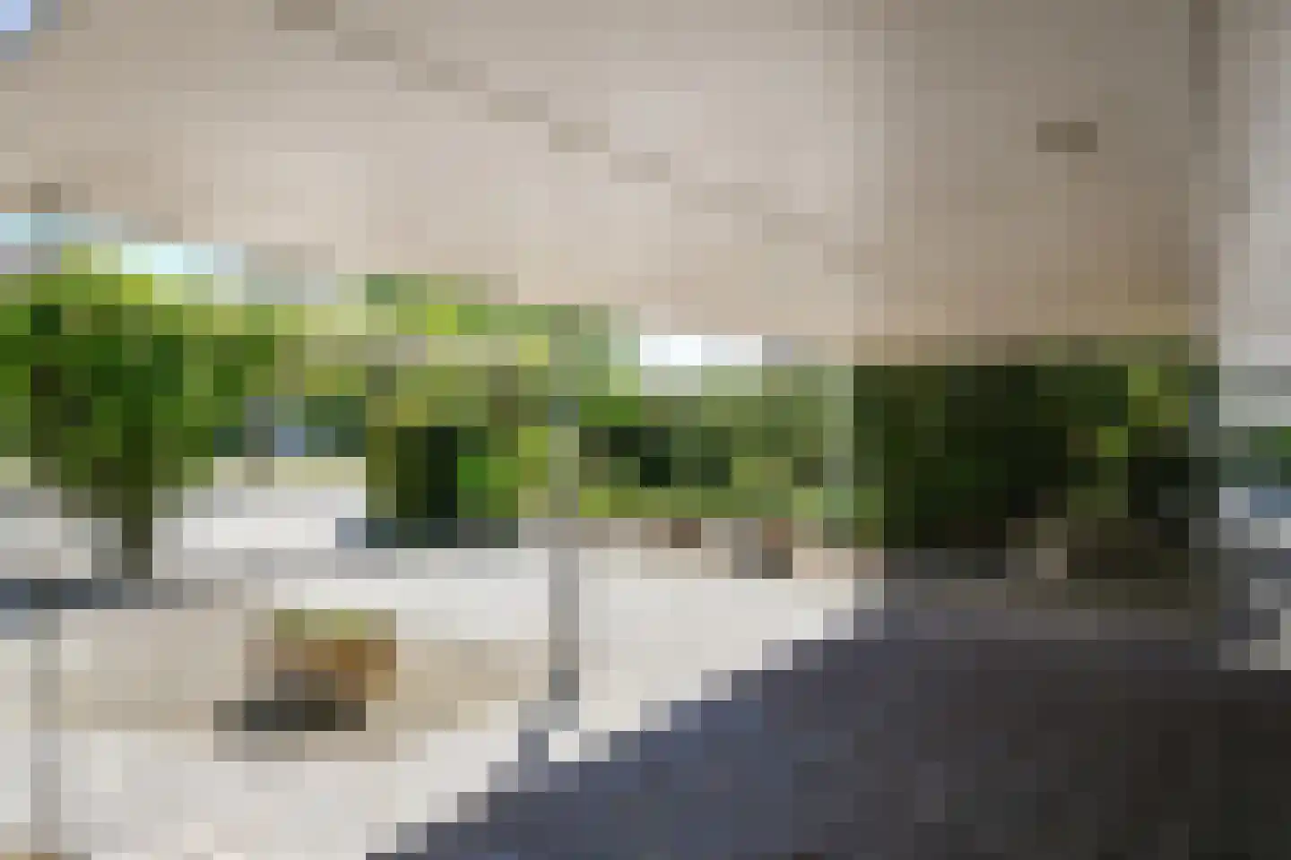 Venloseweg 20 Maasbree thumbnail 24