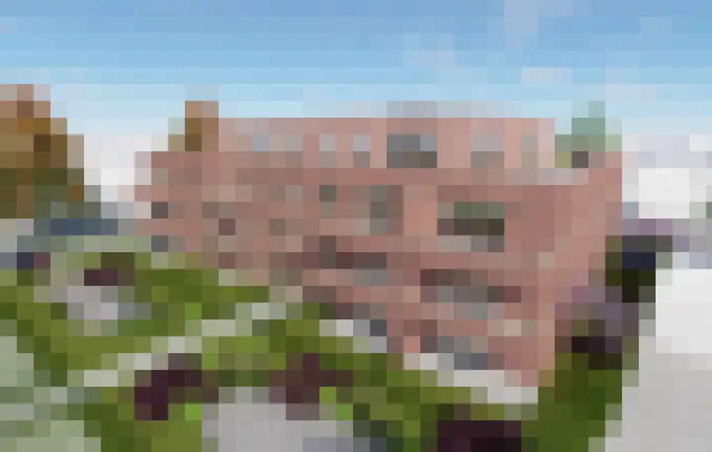 Venloseweg 22 K Horst thumbnail 5
