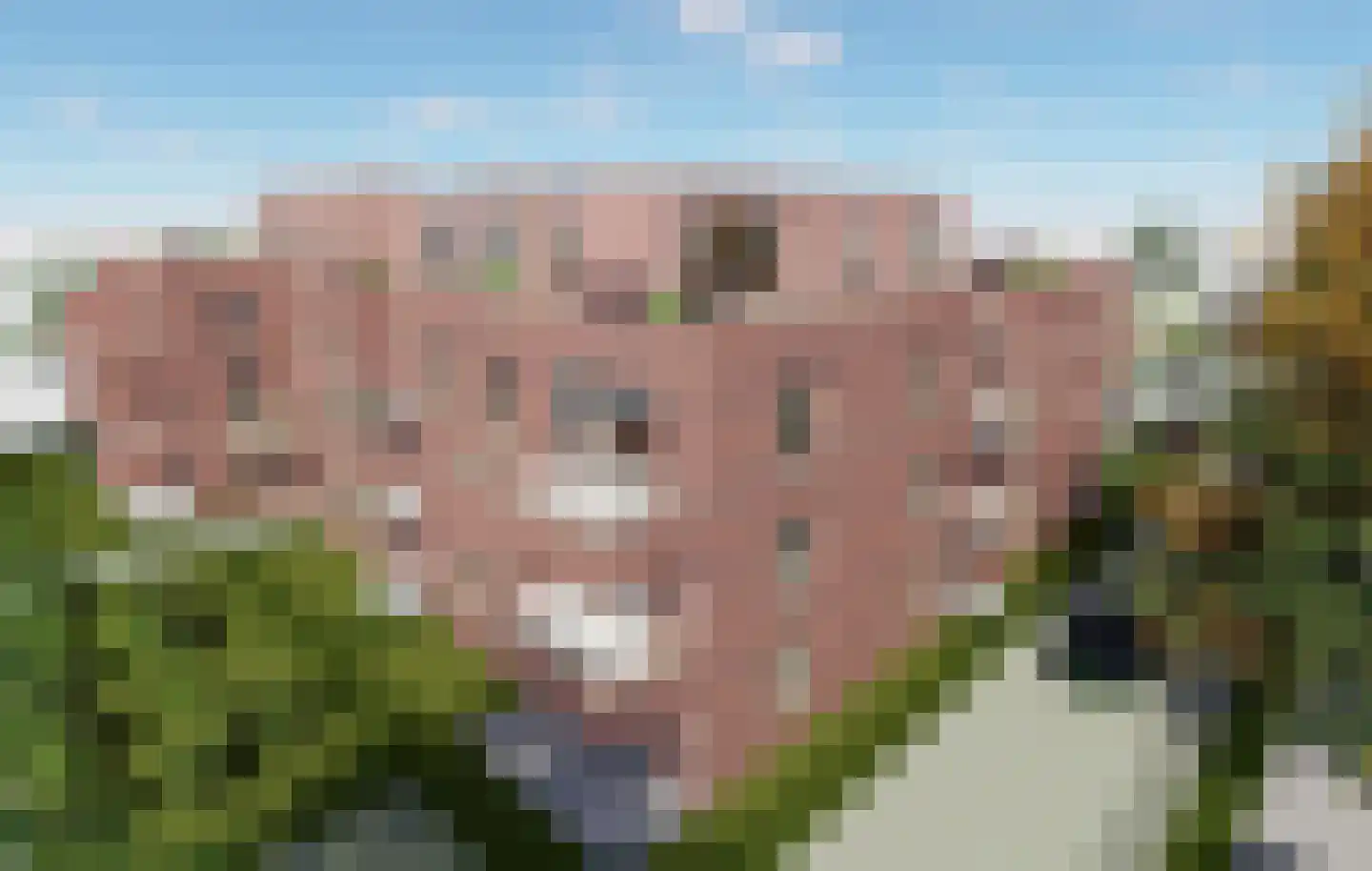 Venloseweg 22 P Horst thumbnail 7