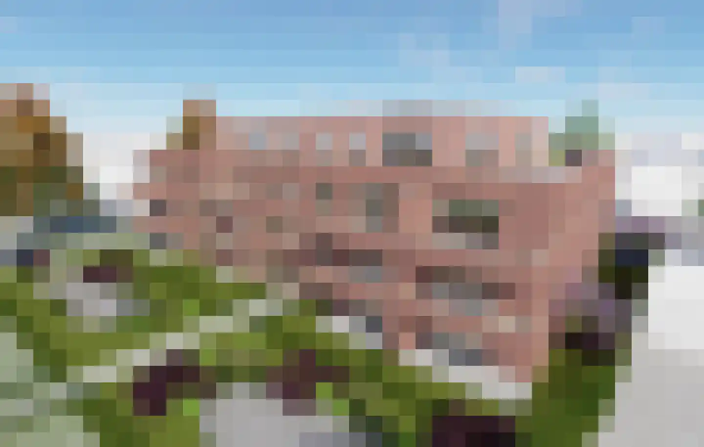 Venloseweg 24 A Horst thumbnail 5