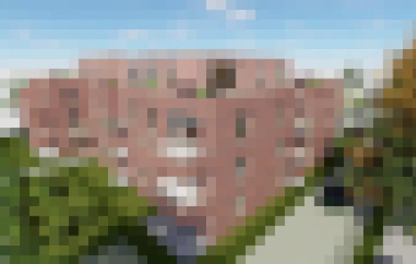 Venloseweg 24 A Horst thumbnail 7