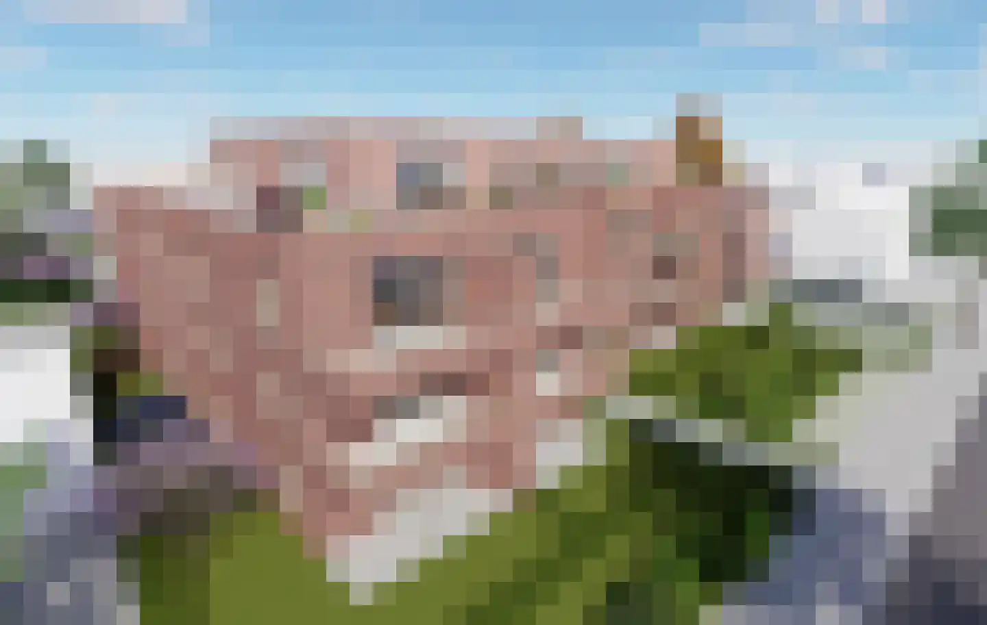 Venloseweg 24 M Horst thumbnail 6