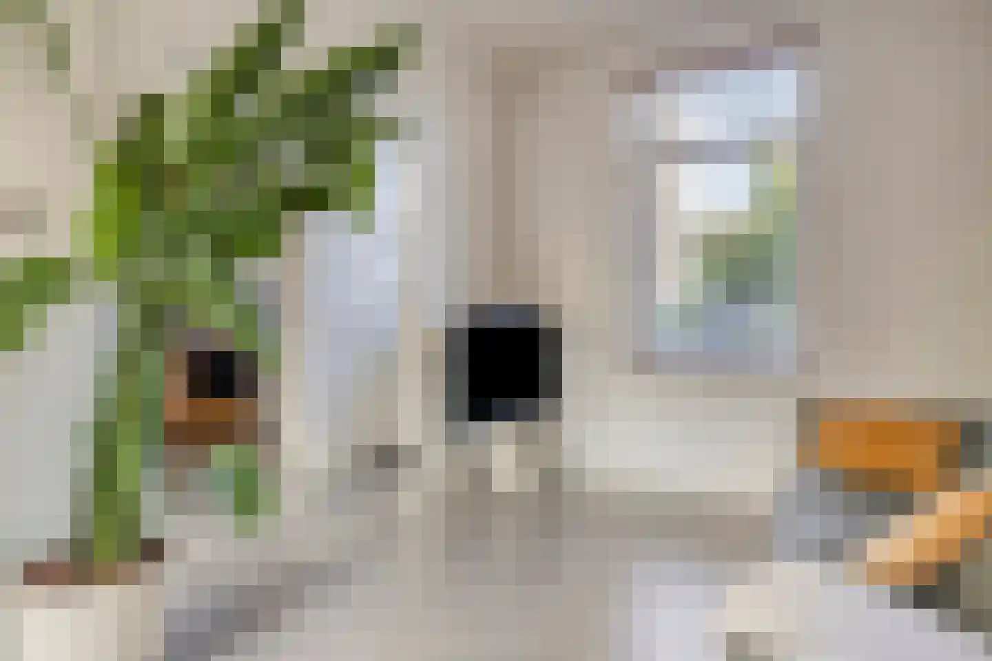 Venloseweg 24 Roermond thumbnail 4