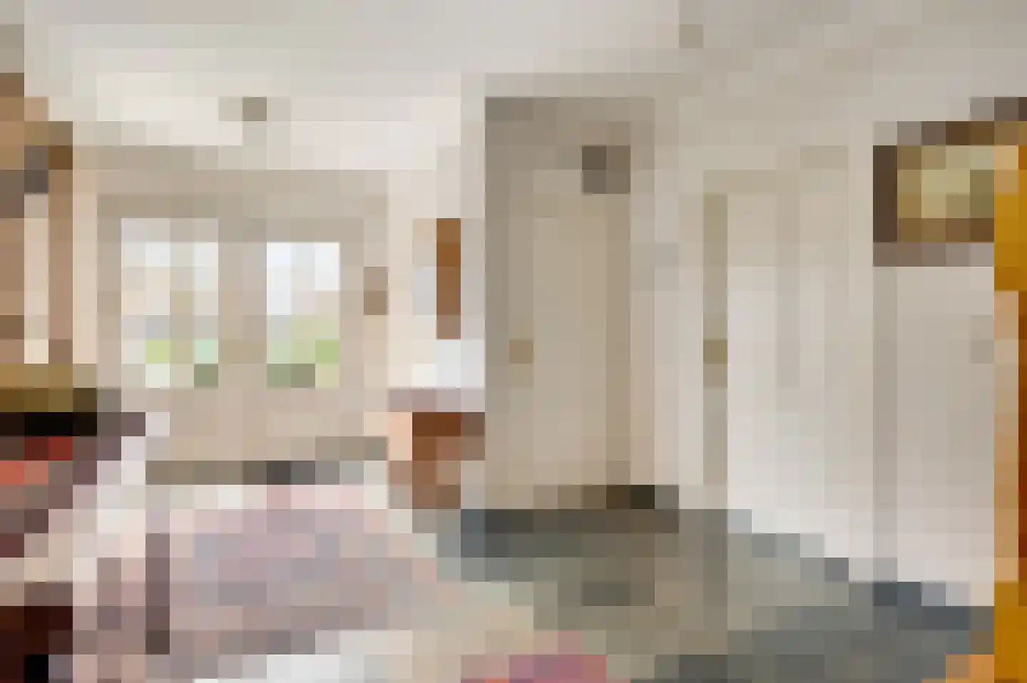 Venloseweg 25 Horst thumbnail 17