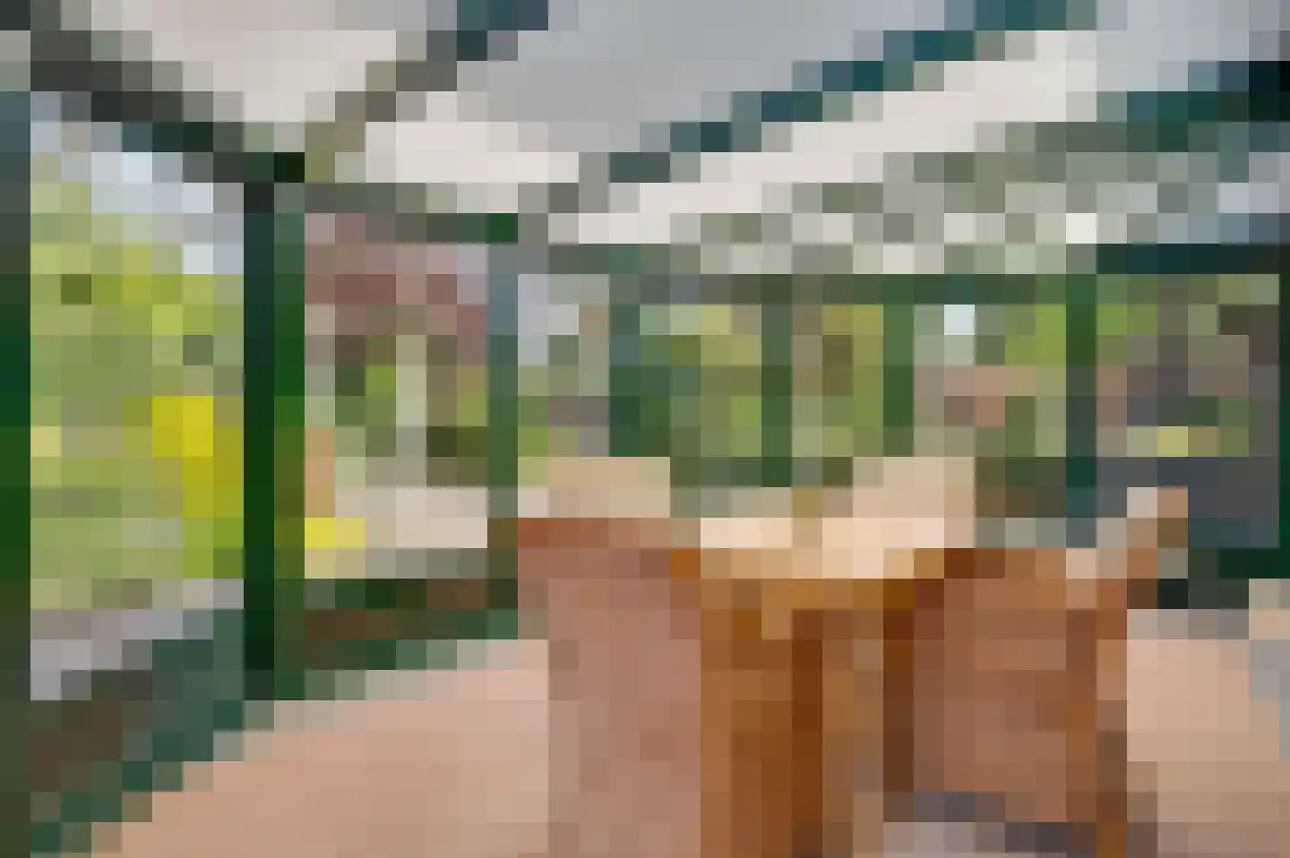 Venloseweg 25 Horst thumbnail 27