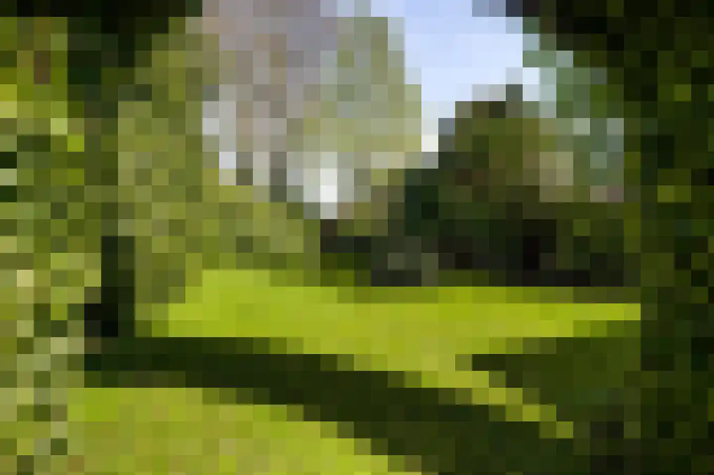 Venloseweg 25 Horst thumbnail 4