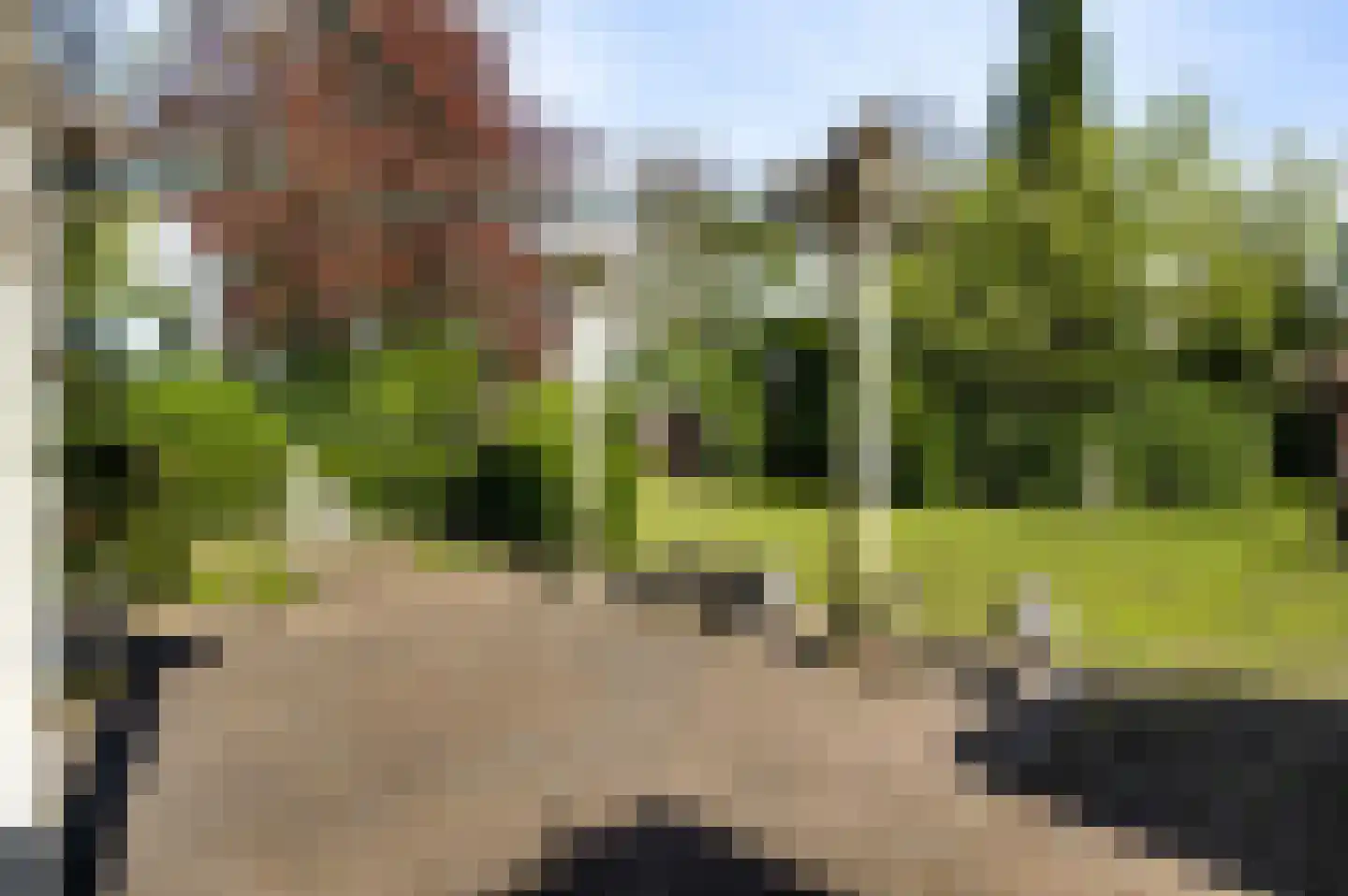 Venloseweg 25 Horst thumbnail 52