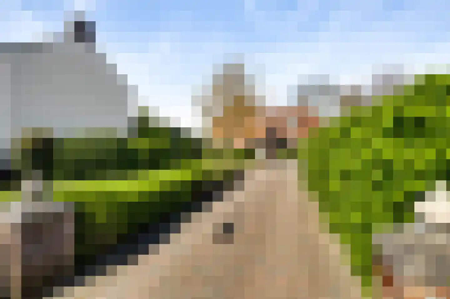 Venloseweg 25 Horst thumbnail 7