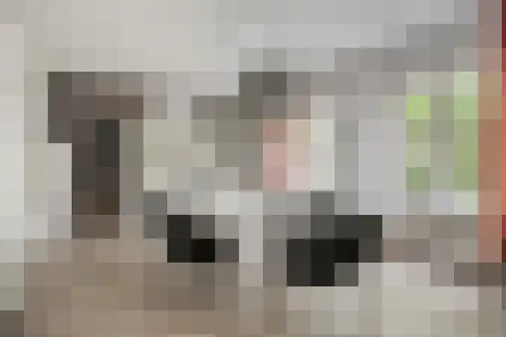 Venloseweg 3 Horst thumbnail 12