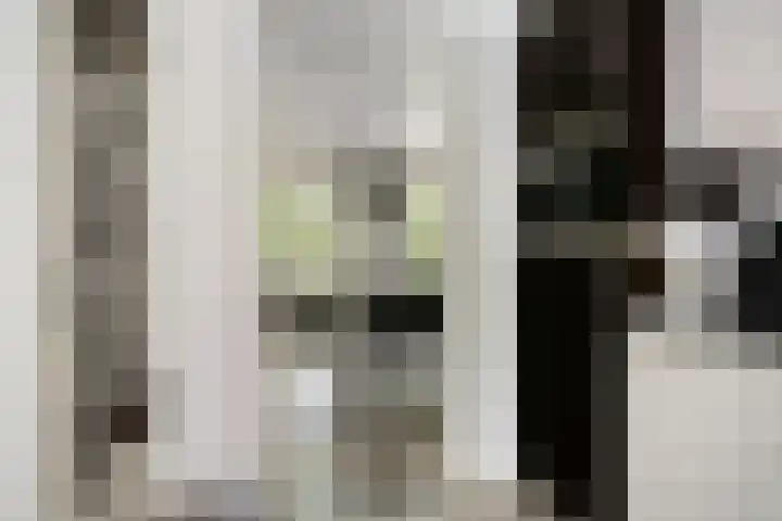 Venloseweg 3 Horst thumbnail 13