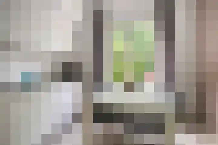Venloseweg 3 Horst thumbnail 15