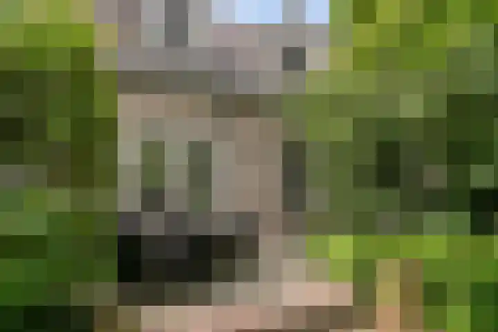 Venloseweg 3 Horst thumbnail 18