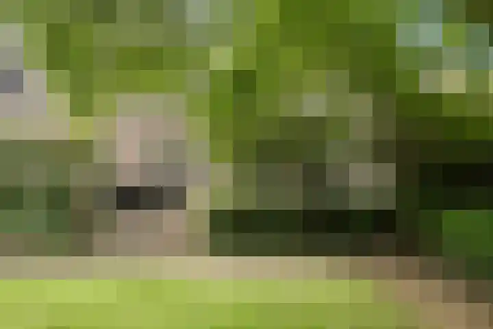 Venloseweg 3 Horst thumbnail 20