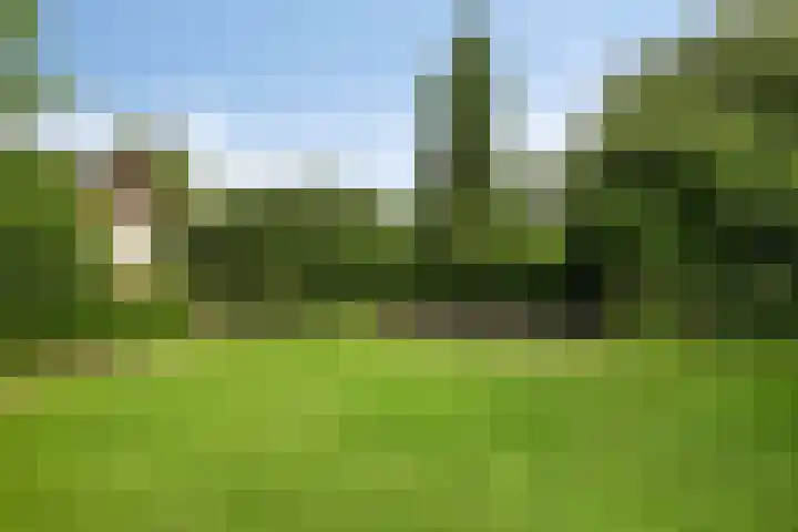 Venloseweg 3 Horst thumbnail 22