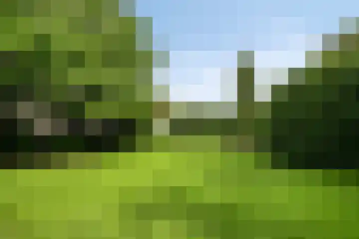 Venloseweg 3 Horst thumbnail 23