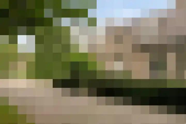 Venloseweg 3 Horst thumbnail 41