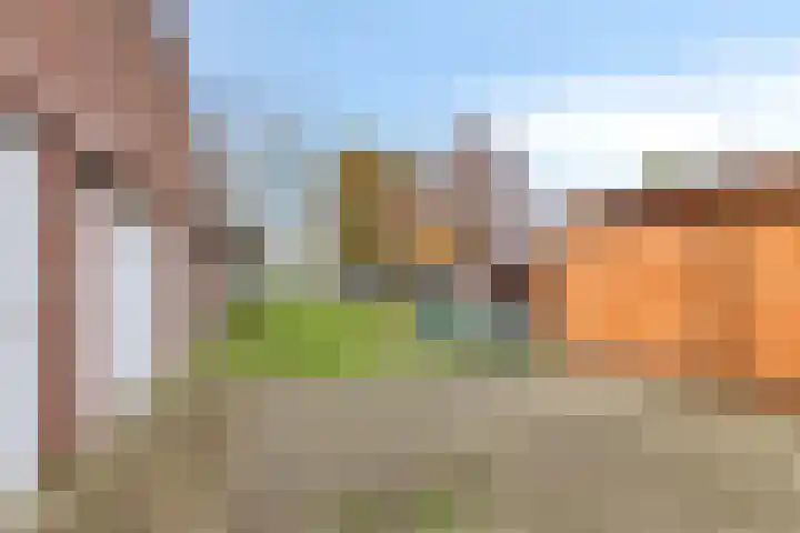 Venloseweg 34 Horst thumbnail 21
